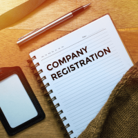 Company Registration Package 1 - Private Company setup with income tax number for 1 director in Pretoria